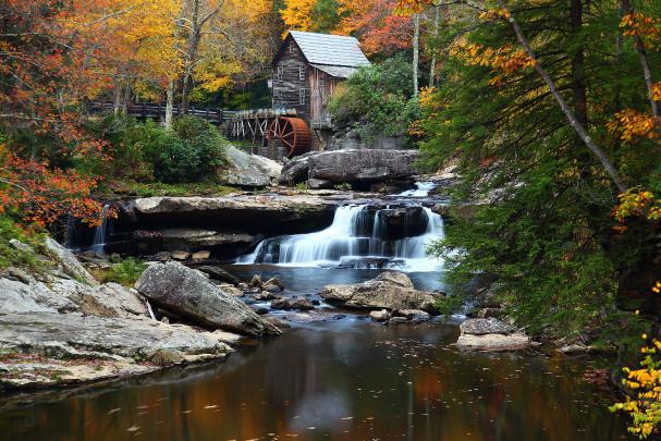 Fall Foliage Wallpapers HD