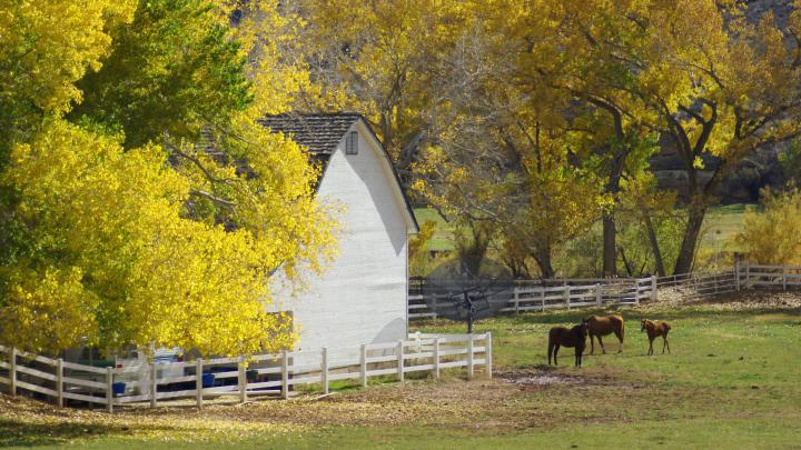[43+] Country Farm Wallpaper 