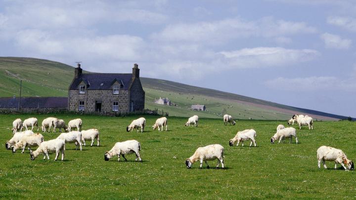 Farm Desktop Wallpaper -