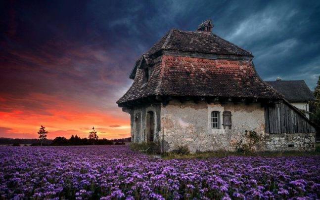 landscape, Nature, Sunset, Farm, House, Old, Sky, Flowers, Lavender 
