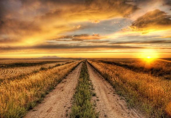 Farm Life Wallpapers