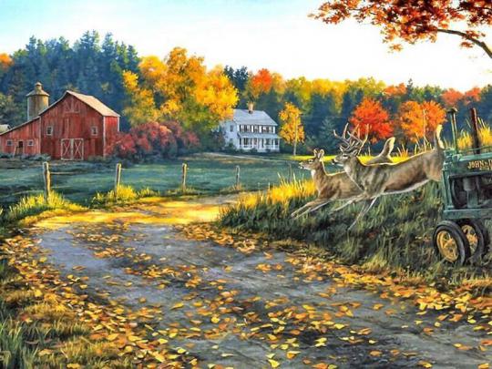 Farm Winter Scenes Desktop Wallpaper -