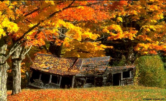 Autumn Farm Wallpaper | Mega Wallpapers
