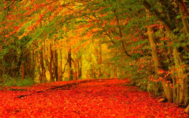 Fall Farm Desktop Wallpaper (39+ images)