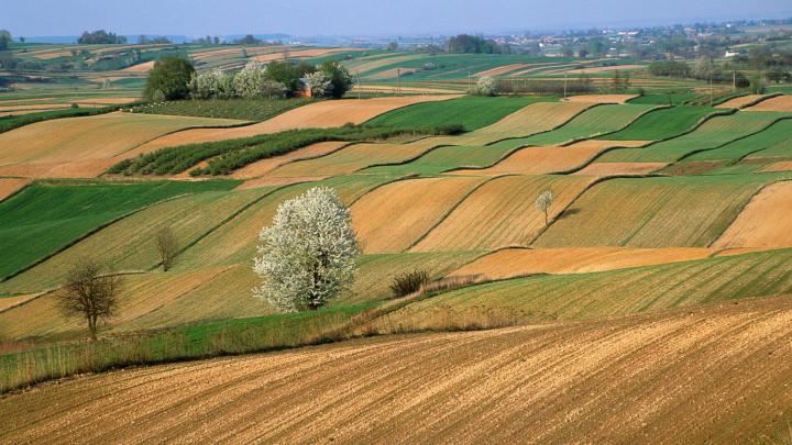 Beautiful Nature Farm View Wallpaper | HD Wallpapers