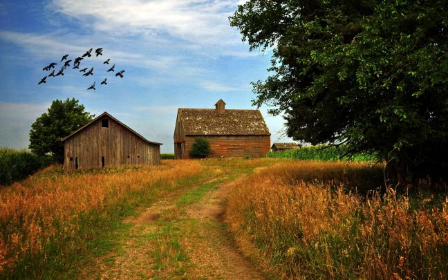 Desktop Wallpaper Farm Scenes -