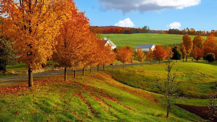Farm Winter Scenes Desktop Wallpaper (37+ images)