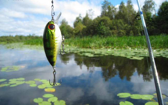 Fishing Desktop Wallpaper