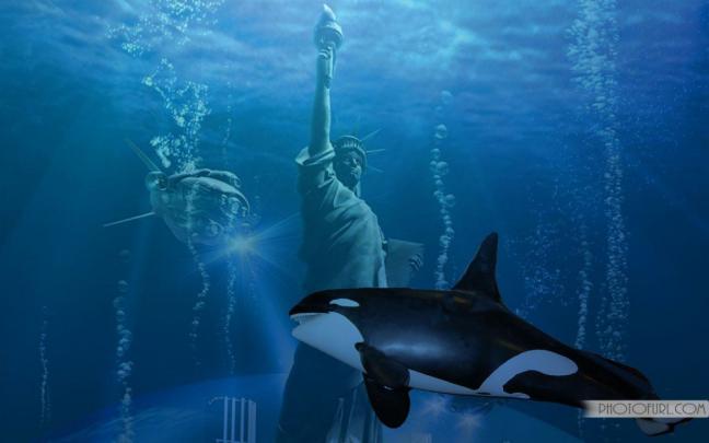 [48+] Free Fish Desktop Wallpaper 