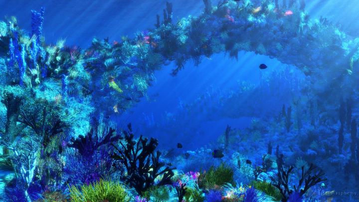 ocean, Tropical, Fish, Underwater Wallpapers HD \/ Desktop and Mobile 
