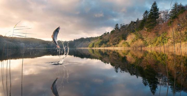 Fishing Desktop Wallpaper -