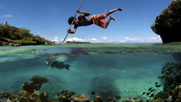 Bass Fishing Background for Desktop