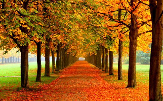Free Autumn Desktop Wallpaper