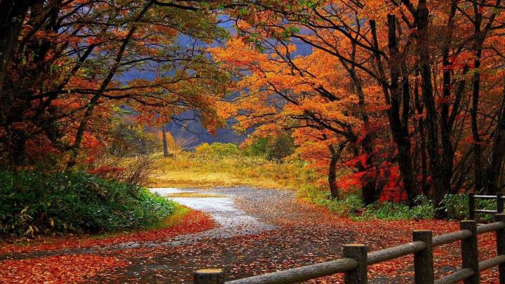 Fall Nature Desktop Wallpapers - Top Free Fall Nature Desktop 