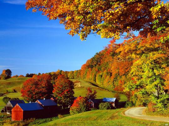 All new wallpaper : The beautiful autumn wallpaper for your desktop