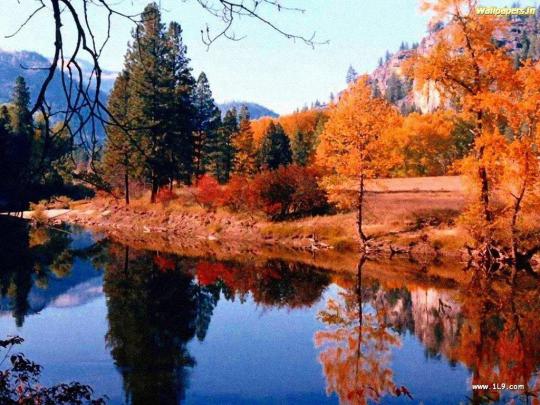 Free Autumn Desktop Wallpaper Backgrounds