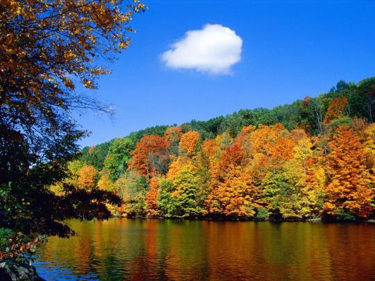 Free Autumn Desktop Wallpaper Backgrounds