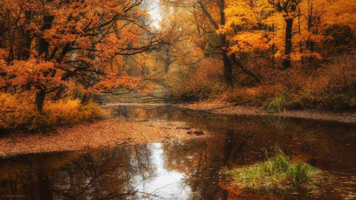 Free Autumn Desktop Wallpaper Backgrounds