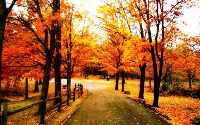 Vermont Autumn Scenes Desktop Wallpapers - Top Free Vermont Autumn 
