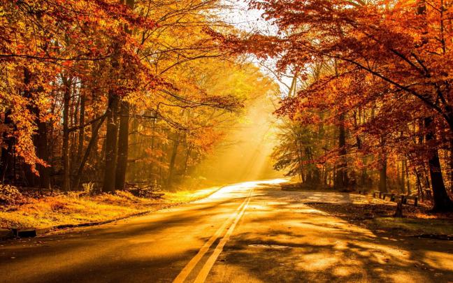 Collection of some best scene of Autumn season HD Wallpapers - All HD 