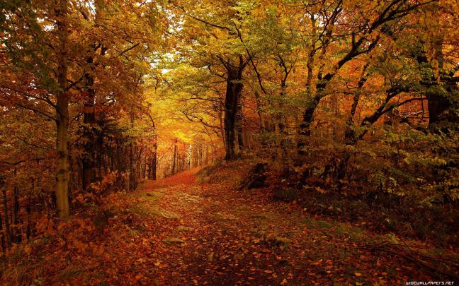 Autumn desktop wallpaper \u00b7\u2460 Download free stunning full HD wallpapers 
