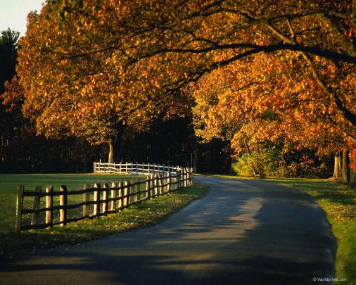 Autumn Desktop Wallpaper Free -