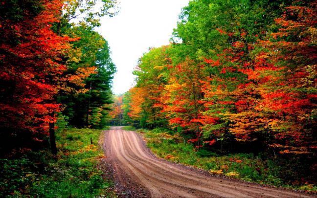 Free download Desktop Wallpapers Autumn Road Desktop Wallpapers 