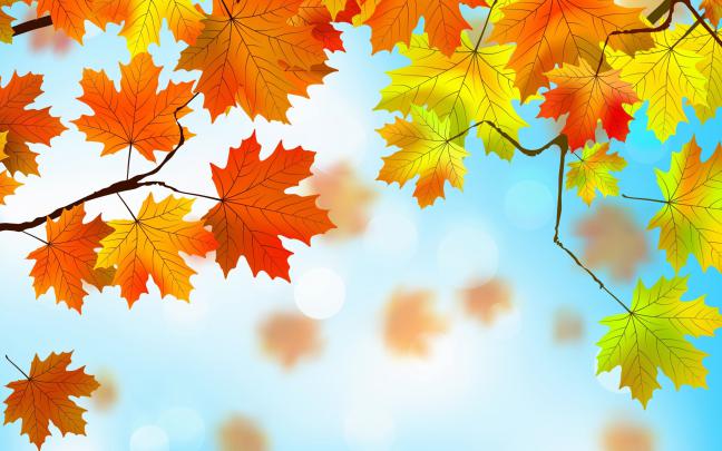 textures, Autumn, Leaves Wallpapers HD \/ Desktop and Mobile Backgrounds