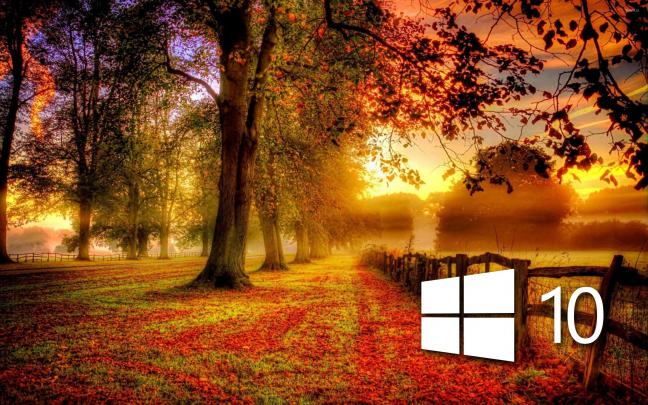Windows Autumn Desktop Wallpaper -