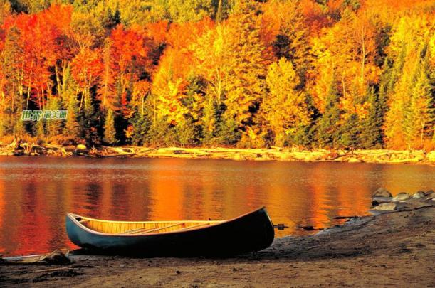 15 Most Romantic Autumn Desktop Wallpapers \u2013 Themes Company \u2013 Design 