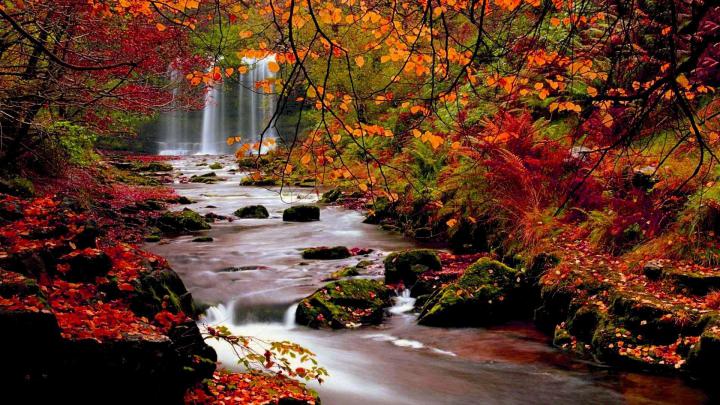 Desktop Wallpaper Autumn Scenes (41+ images)