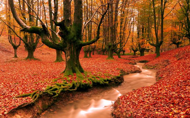 Autumn Pictures for Desktop Backgrounds \u00b7\u2460 
