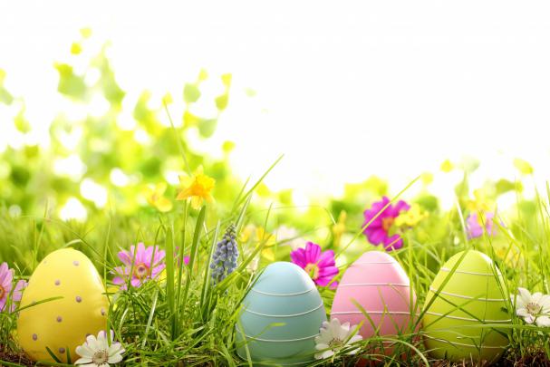 Easter Egg Wallpaper Desktop \u00b7\u2460 