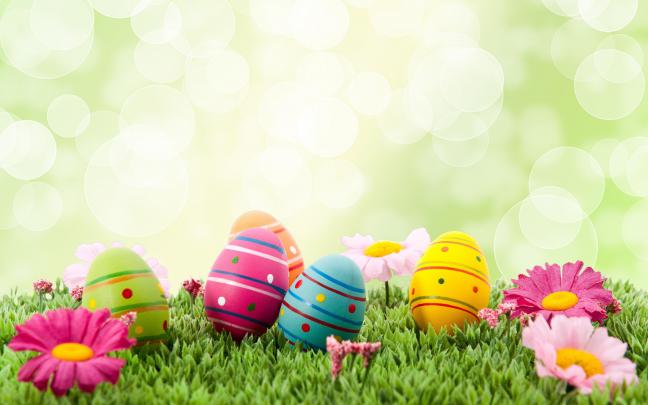 Easter Egg Desktop Wallpaper (60+ images)