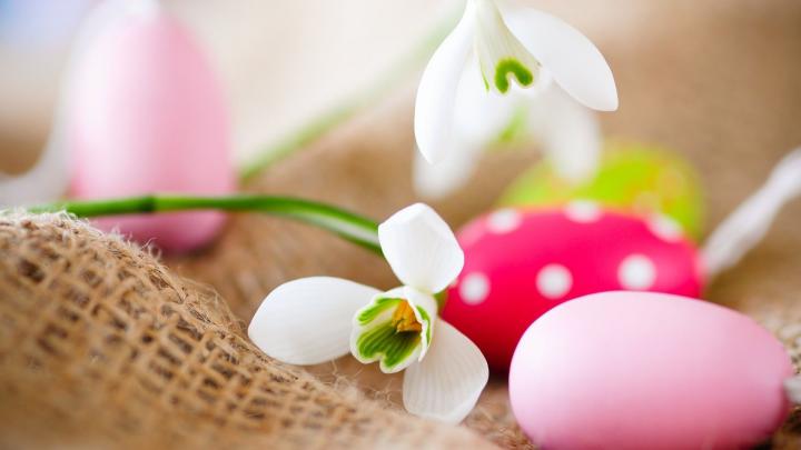 Easter Backgrounds collection download free