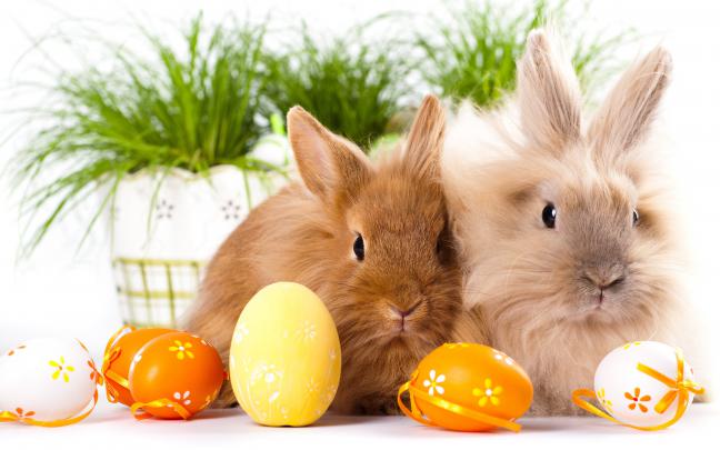 Desktop Wallpaper Easter (65+ images)
