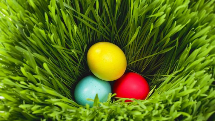 Free Easter Wallpaper HD for your Desktop (50+)