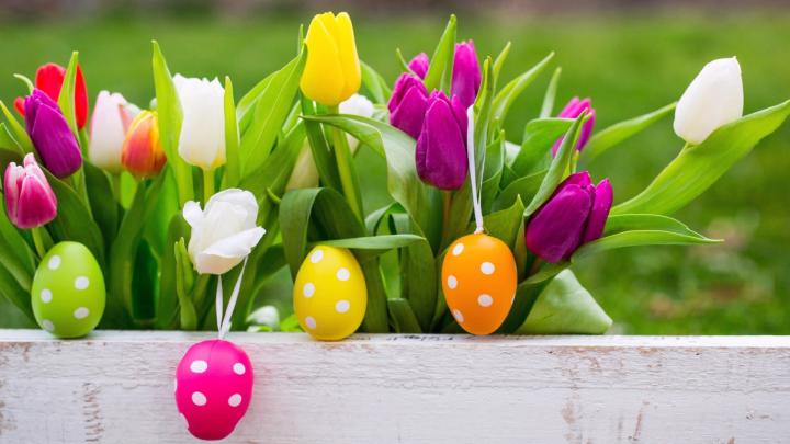 Easter Egg Wallpaper Desktop \u00b7\u2460 