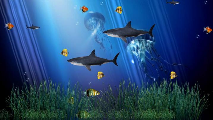 Download Free Live Animated Wallpapers For Pc - Moving Fish Wallpaper 