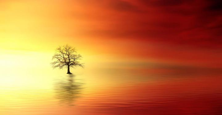Sunrise Water Reflection Nature Screensaver - Animated Live Desktop 