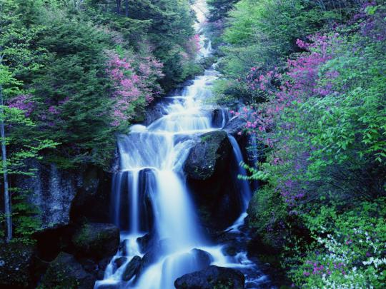 Free Live Waterfalls Desktop Wallpapers -