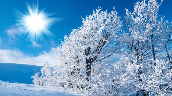 Free Winter Wallpapers For Desktop