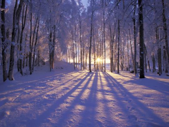 Desktop Wallpaper Winter Scenes \u00b7\u2460 