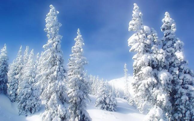 Free Desktop Wallpapers Winter Scenes