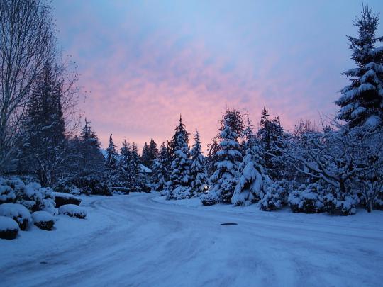 Free Winter Wallpaper Scenes | Evolution Wallpapers