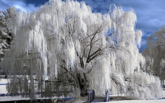 free winter pictures desktop background - HD Desktop Wallpapers