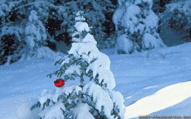 Desktop Wallpaper Winter Scenes \u00b7\u2460 