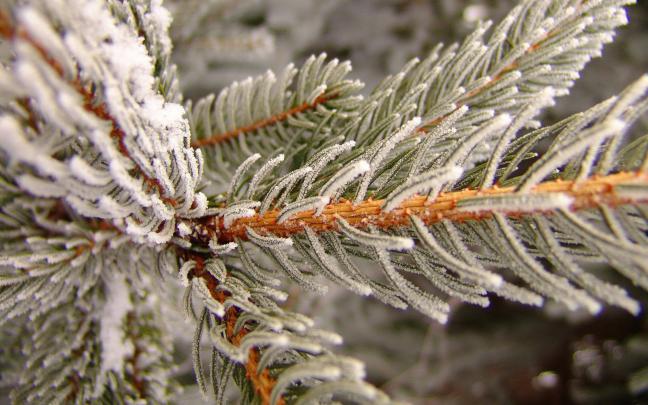 Winter Wallpapers for Desktop (62+ images)