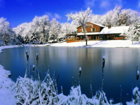 Free Winter Scene Wallpapers