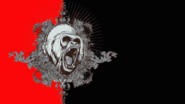 gorilla 1920x1080 wallpaper High Quality Wallpapers,High Definition 